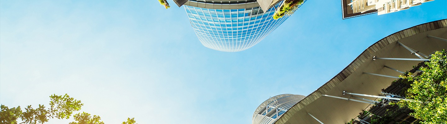 sostenibilidad como una ventaja competitiva