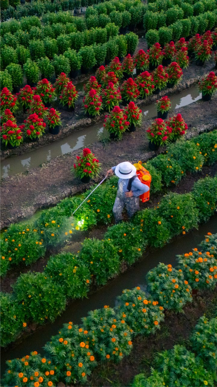 Industries Agro foods
