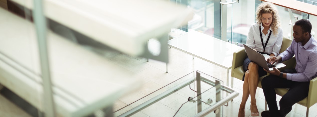 Litigation Support (Accounting Expert Services)
